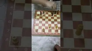 chess comedy #shorts #chesscomedy #chess #comedy