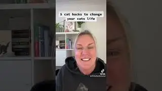 Get catisfaction in your home