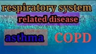 respiratory system// asthma and COPD deases of symptoms and treatment