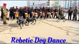 Ind Army Robotic Dog Dance 