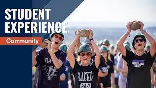 Student Experience &ndash; Community