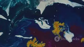 Why Does Blood Look Blue Under Our Skin? | The Science Behind the Illusion