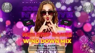 New Years Eve 2024 (NYE) Christmas Dance Club Party Wind down Mega Mix - Non stop continuous mix