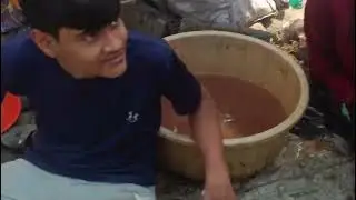 Aaj ka De bahut Biji tha control Gai machhi bajar gai chhoti Moti shopping De 🦈🐟🛒