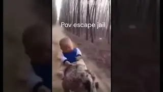Baby riding greyhound #baby #memes #meme
