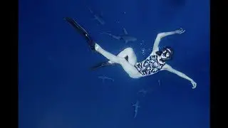 DRAG QUEEN DIVES WITH SHARKS CAGELESS