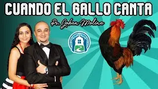 CUANDO EL GALLO CANTA