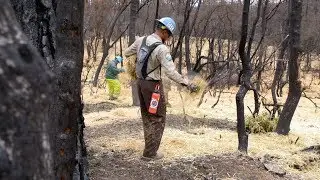 Carr Fire Erosion Prevention & Recovery