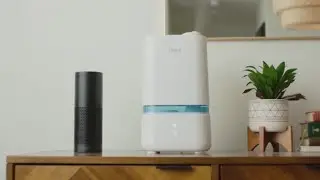 Levoit Classic 200S Ultrasonic Humidifier - How To Connect to Amazon Alexa