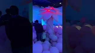 Bubble planet immersive experience in LA #bubbleplanet #immersiveexperience #la #losangeles #museum
