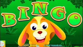 Bingo Dog Song - Nursery Rhymes and Songs For Children