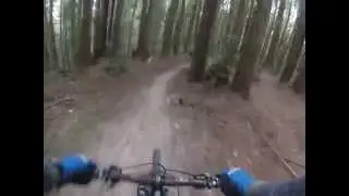 DMBT- Riding with Mendo Bike Sprite 2