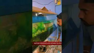FISH! LUCKY FISH 😳#shorts #shortsvideo #viral #ytshorts #short #fishing #fish #m4tech #fishingfreaks