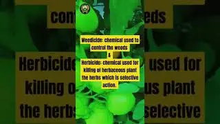 Difference weedicide & herbicide 🌾 #herbicides #weedicides #agriculture #knowledge #knowledgefacts