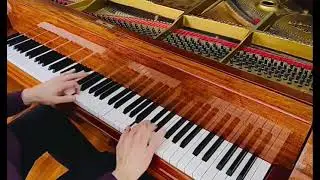 Mizhega Sergiy play s Chopin .Nocturne e-minor.op 72.no 1.