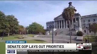 VIDEO: South Carolina Senate Republicans outline 2026 legislative priorities