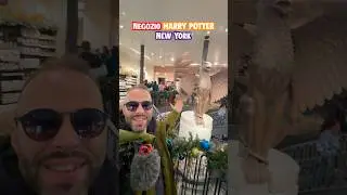 Store di Harry Potter a New York ✨⚡️