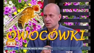 Te okropne muszki owocówki Eryk Połeć z PRYSKANIE.pl w Pytanie Na Śniadanie PNŚ TVP