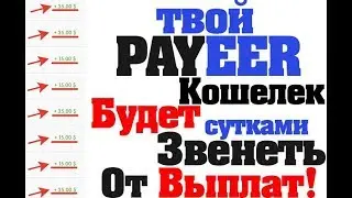 DigiSoft  Россия разнесла Компанию Digisoft за сутки