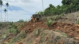 Bulldozer D6R XL Reliable Heavy Equipment for Old Plantation Roads