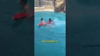 Самый Опасный Бассейн😨