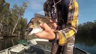 bream fishing with cicada lures