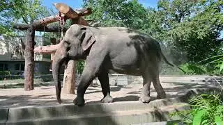 Top 5 European Zoos