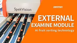 SpekVision: AI fruit sorting technology from Deltron