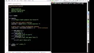 Introduction to Objects in Python: Magic 8-Ball