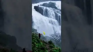 Mallalli Falls 💚 #nature #coorg #goldentemple #travel #coorgi #gurdwara #waterfall #abbeyfalls