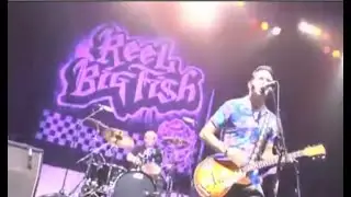 Reel Big Fish - &ldquo;Sell Out&rdquo;Live in Orange County (Pro Fimed)