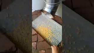 soybean peeling machine