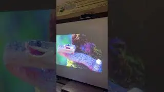 Проектор короткофокус viewsonic pjd5353ls,3-d,hdmi