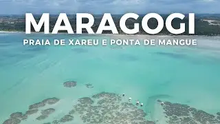 MARAGOGI EP1: Praia de Xaréu e Praia de Ponta de Mangue - Alagoas