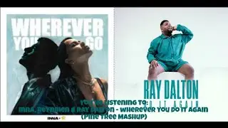 INNA, Reynmen & Ray Dalton - Wherever You Do It Again (Pine Tree Mashup)