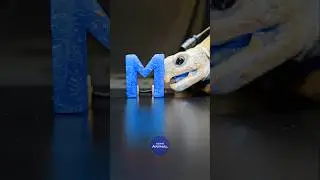 ASMR Mukbang Blue Food 💙 Turtle Tortoise