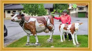 🚴&zwj;♀️🇦🇹Taurachtal Radweg Untertauern Wildpark u.Taurach Schlucht 23.05.24.