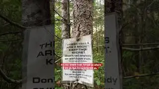 The trail that very few know about. All this area will be harvested soon.