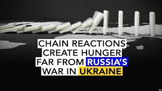 Russia's War in Ukraine Still Impacting Food Security: Aid Organizations