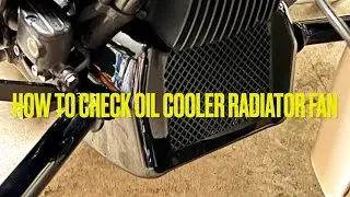 Harley Davidson. How to check oil radiator fan
