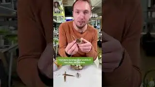 Ganz leicht selbstgemacht - Tolle Bastelideen f&uuml;r Ostern