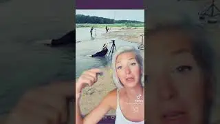 china faked the floods, general shepherd, info wars