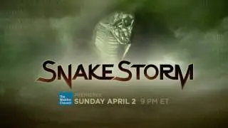 SnakeStorm - Even Snake Handlers Run the Risk of Being Bit