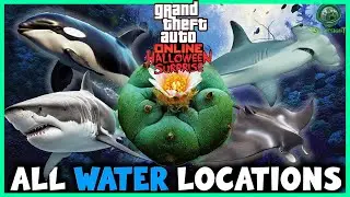ВСЕ 24 МЕСТА ДЛЯ РАСТЕНИЯ ПОДВОДНОГО ПЕЙОТА В GTA Online! (ПОЛНОЕ РУКОВОДСТВО) 🌵