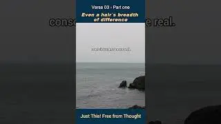 Just This! Free from Thought. Verse 03 - Part one #zen #dharmatalks  #faithinmind #koreanbuddhism