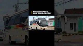Bus Sinar Jaya Masuk Terminal #bus #busmania #terminal #purbalingga #sinarjaya