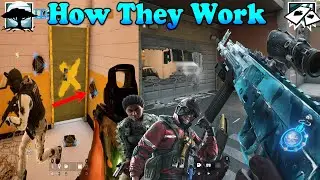 Ace & Melusi | How to use their abilities effectively | Rainbow Six Siege Operation Steel Wave Tips!