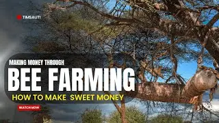 Is Bee Farming in Kenya Worth It? Profits, Challenges & Secrets (KIKAMBA VERSION)