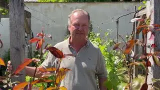 Fritz Wieninger talks Gemischter Satz