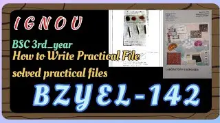 BZYEL-142 practical file || how to write ignou bscg practical files full guides || IGNOU 📖 B.SC.  